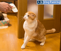 素直になれなくて_d0355333_15273519.jpg