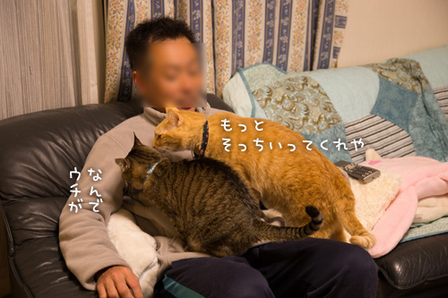 愛されすぎて_d0355333_15273597.jpg