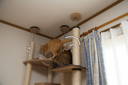 知らない場所がある!?_d0355333_15295029.jpg