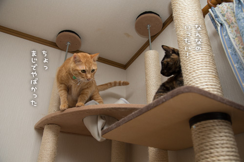 知らない場所がある!?_d0355333_15295063.jpg