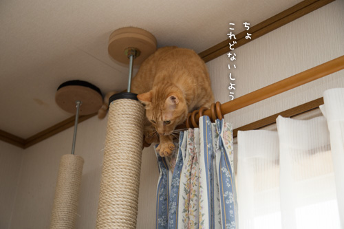 知らない場所がある!?_d0355333_15295092.jpg