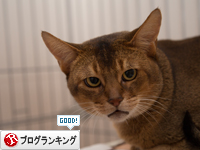 ちい太郎の遊び心。_d0355333_15315388.jpg