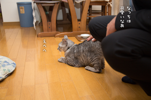 待ちぼうけ笑子たん_d0355333_15321705.jpg