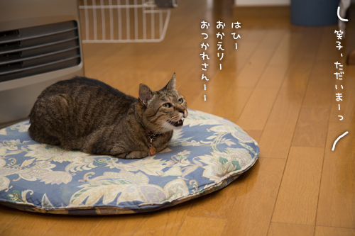 待ちぼうけ笑子たん_d0355333_15321738.jpg