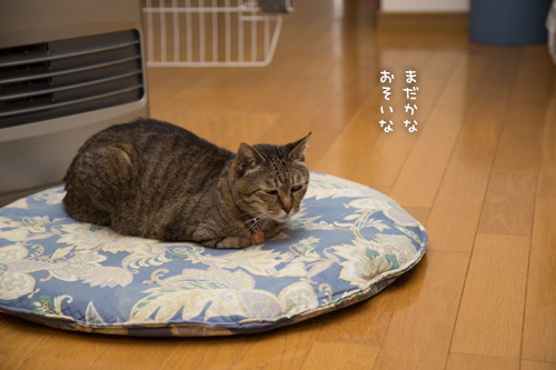 待ちぼうけ笑子たん_d0355333_15321755.jpg
