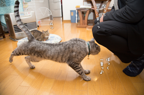 待ちぼうけ笑子たん_d0355333_15321779.jpg