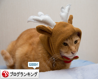 トナカイさん。_d0355333_15322384.jpg