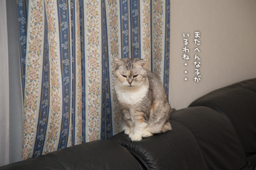 位置関係把握!_d0355333_15322433.jpg