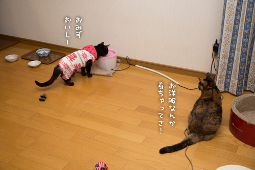 位置関係把握!_d0355333_15322454.jpg
