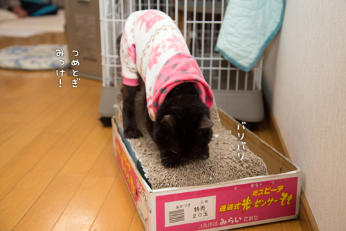 位置関係把握!_d0355333_15322524.jpg