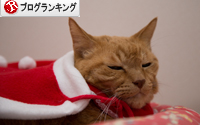 猫サンタがやってきた!_d0355333_15323141.jpg
