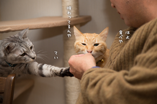 あけましておめでとうございます_d0355333_16350605.jpg