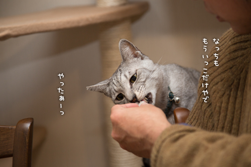 あけましておめでとうございます_d0355333_16350676.jpg
