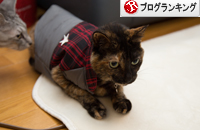 あわないお洋服。_d0355333_16351385.jpg