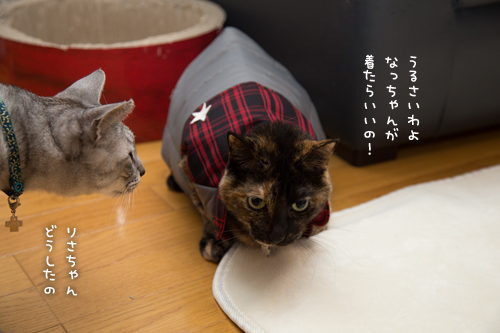 あわないお洋服。_d0355333_16351390.jpg