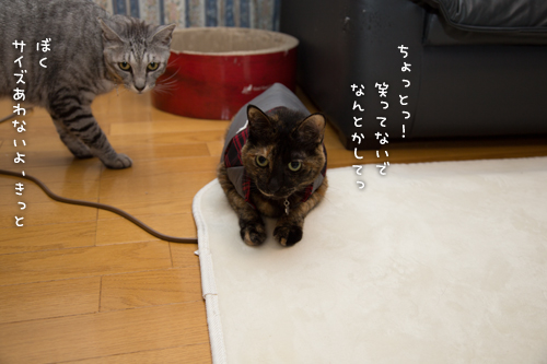 あわないお洋服。_d0355333_16351393.jpg