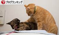 ジャイアンちゃとらん_d0355333_16351408.jpg