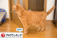 ソロくんの冒険_d0355333_16351639.jpg