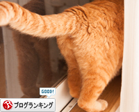 ソロくんはおじゃまむし。_d0355333_16351870.jpg