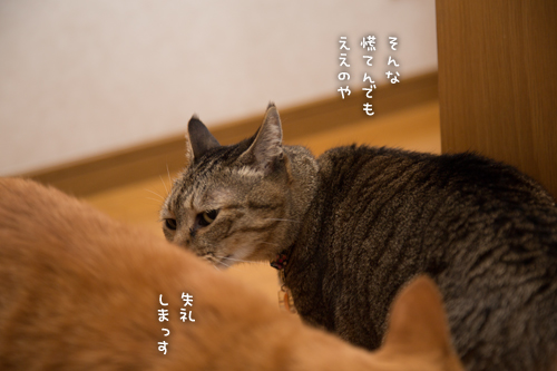 少しずつ。_d0355333_16352108.jpg