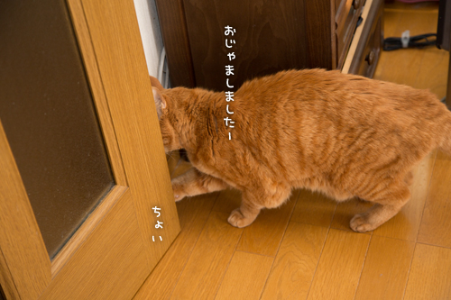 少しずつ。_d0355333_16352139.jpg