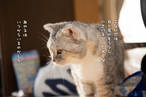 少しずつ。_d0355333_16352180.jpg