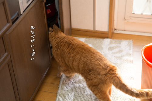 少しずつ。_d0355333_16352181.jpg