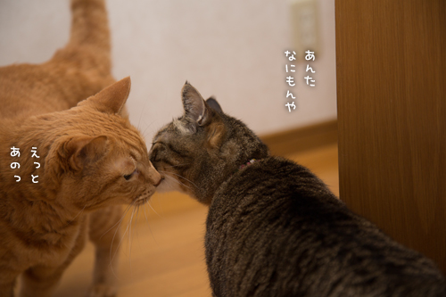 少しずつ。_d0355333_16352189.jpg
