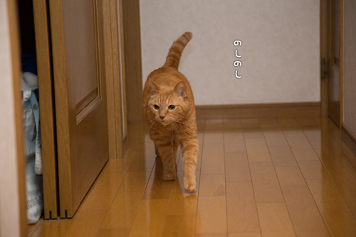 仲良くしようよ!_d0355333_16352350.jpg