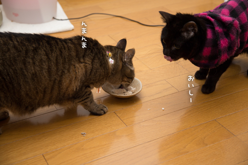 おやつにかぶりつき_d0355333_16352647.jpg