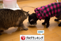 おやつにかぶりつき_d0355333_16352741.jpg
