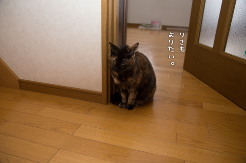 d0355333_16353336.jpg