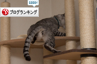 やんちゃ坊主発見_d0355333_16353733.jpg
