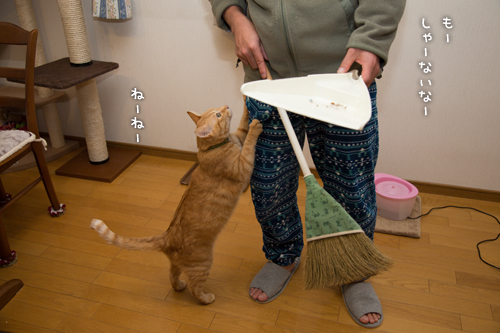 ほうきでちょいちょい_d0355333_16354314.jpg