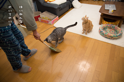 ほうきでちょいちょい_d0355333_16354362.jpg