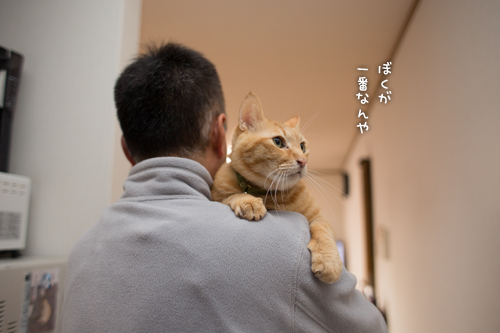 おやじフォロー。_d0355333_16354717.jpg