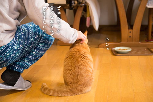 おやじフォロー。_d0355333_16354739.jpg
