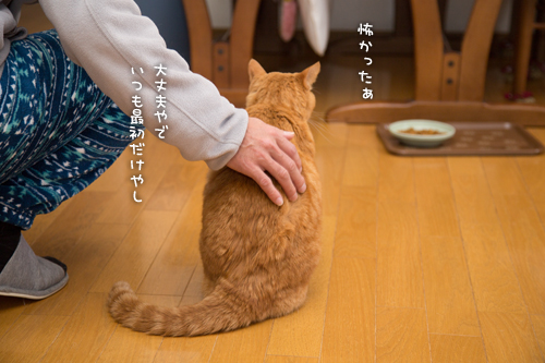 おやじフォロー。_d0355333_16354764.jpg