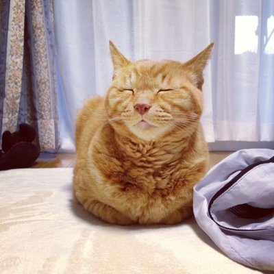 脱ぎっぱなしにすると_d0355333_16355321.jpg