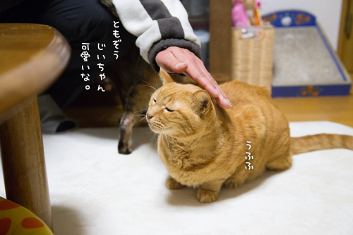 あれ?そんなのあり?_d0355333_16355583.jpg