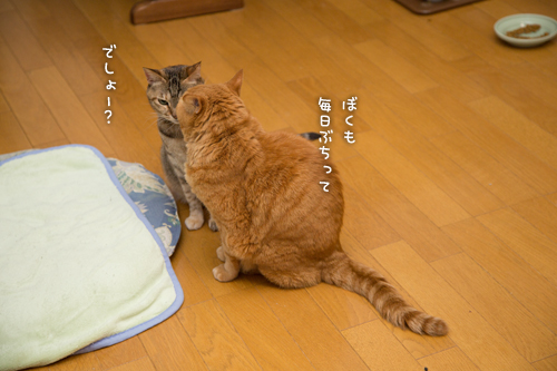 ないしょ話。_d0355333_16360323.jpg