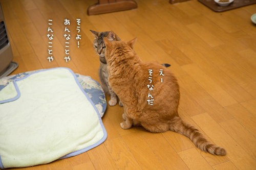 ないしょ話。_d0355333_16360348.jpg