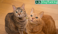 ないしょ話。_d0355333_16360451.jpg