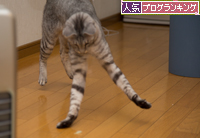 末っ子爆発!_d0355333_16360972.jpg