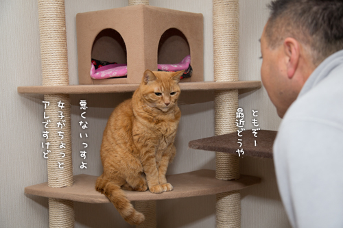 男同士の会話。_d0355333_16361395.jpg