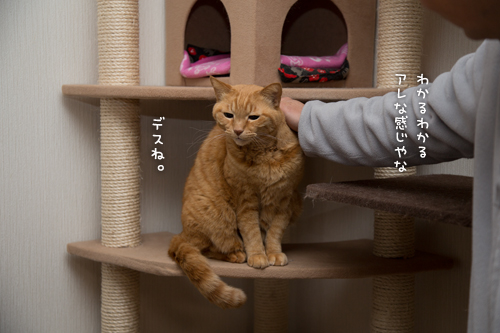 男同士の会話。_d0355333_16361406.jpg