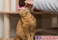 男同士の会話。_d0355333_16361444.jpg