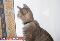 自宅警備員の仕事ぶり_d0355333_16361619.jpg