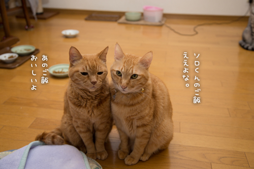 d0355333_16362334.jpg