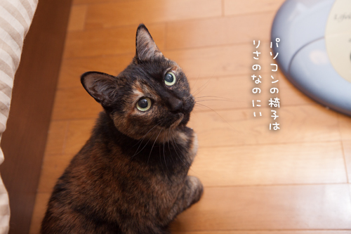 みつきちゃんのお手伝い_d0355333_16362680.jpg